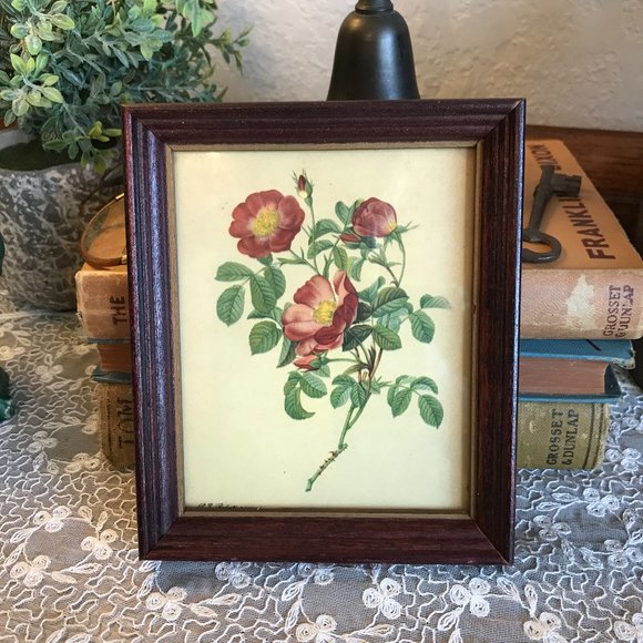 Vintage Other - vintage floral picture